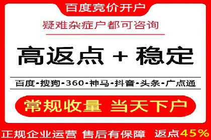 百度推广返点攻略：成功案例分享与启示